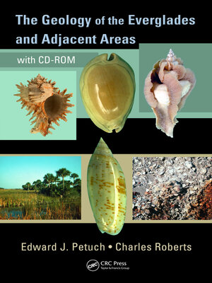 cover image of The Geology of the Everglades and Adjacent Areas